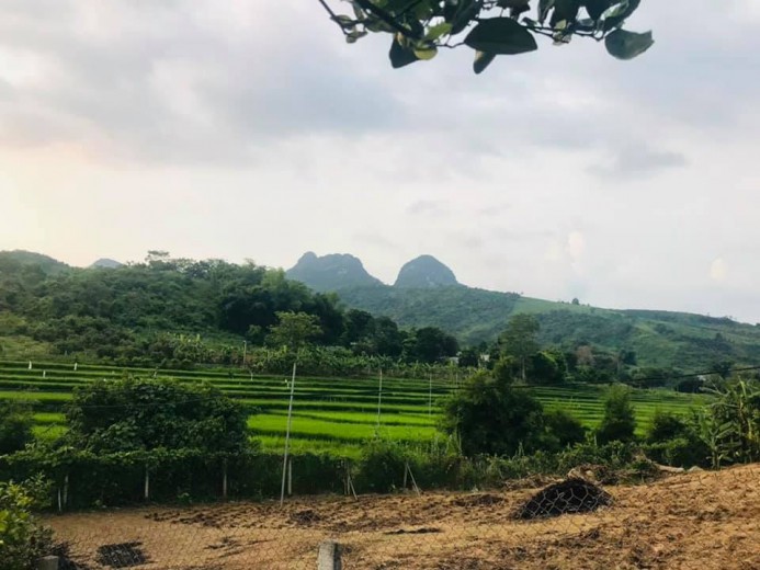 BÁN RẺ 3000m ĐẤT THỔ CƯ, VIEW NÚI + RUỘNG BẬC THANG,Ô TÔ VÀO TẬN ĐẤT,GIÁ 770TR